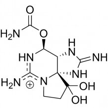 saxitoxin structure