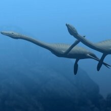 Plesiosaurus reconstruction